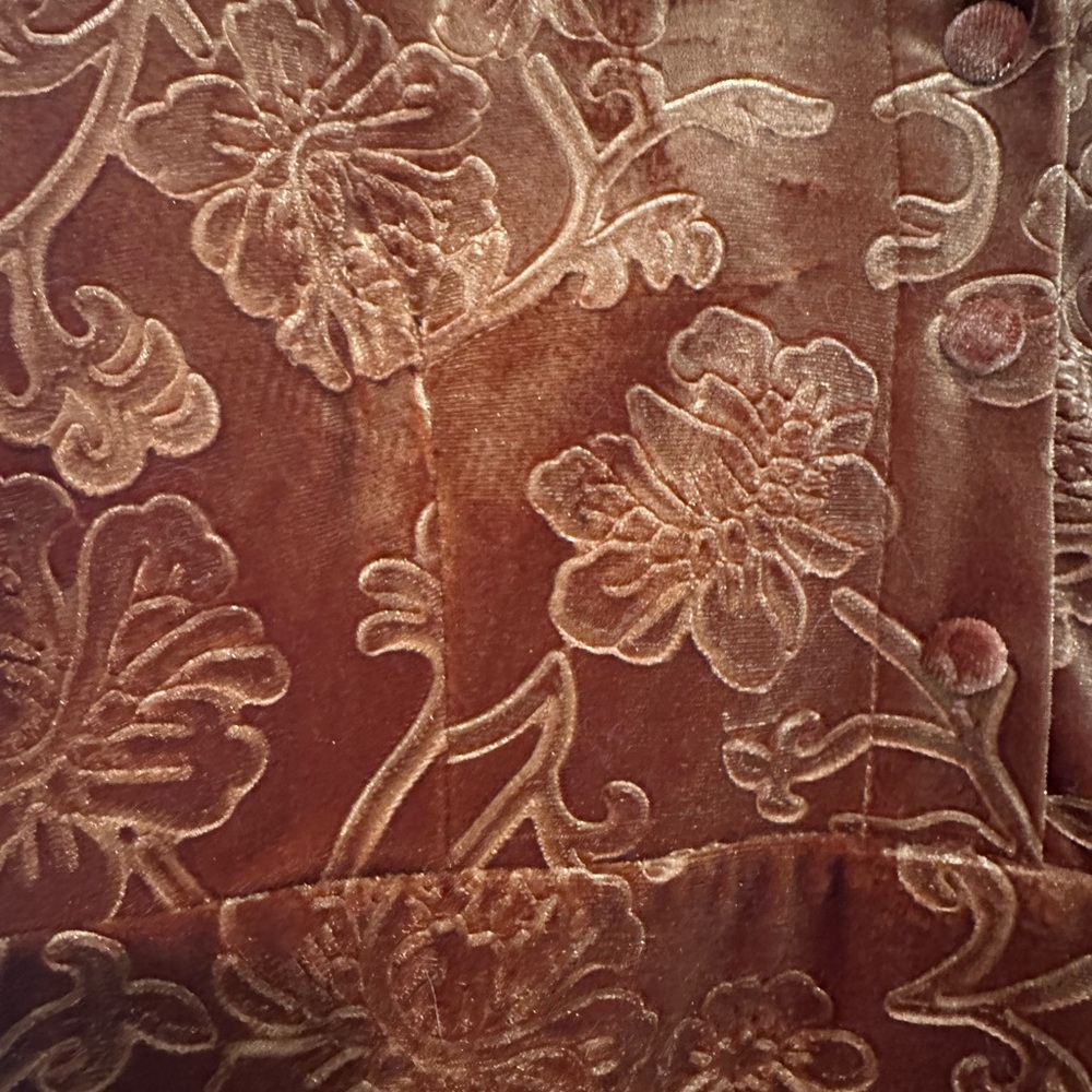 Cider Rust Velvet Floral Shirt - Picture 3 of 7